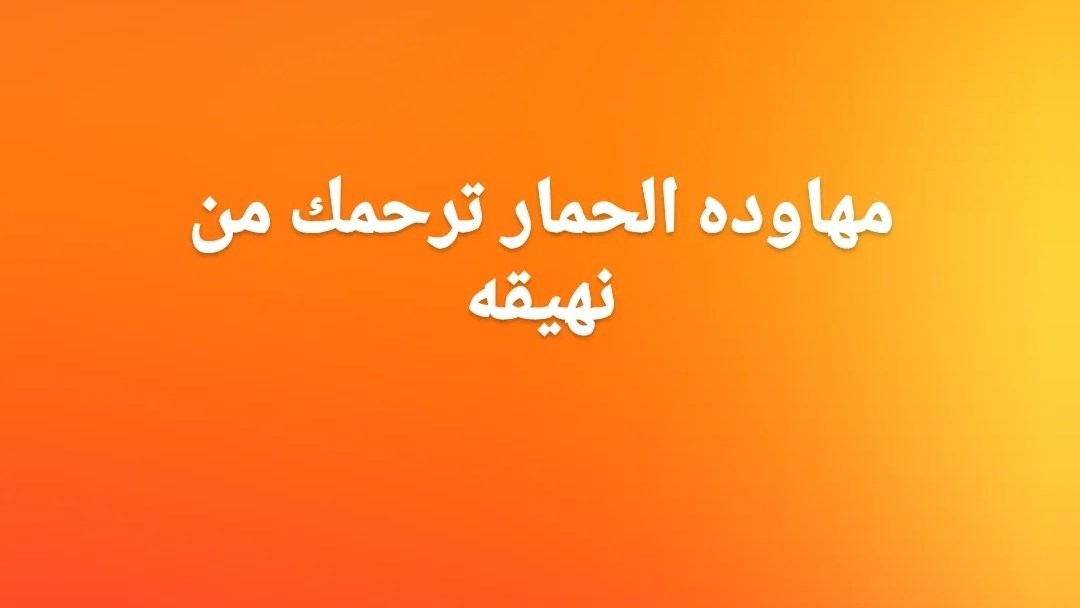 Maڨia 💸 tweet media