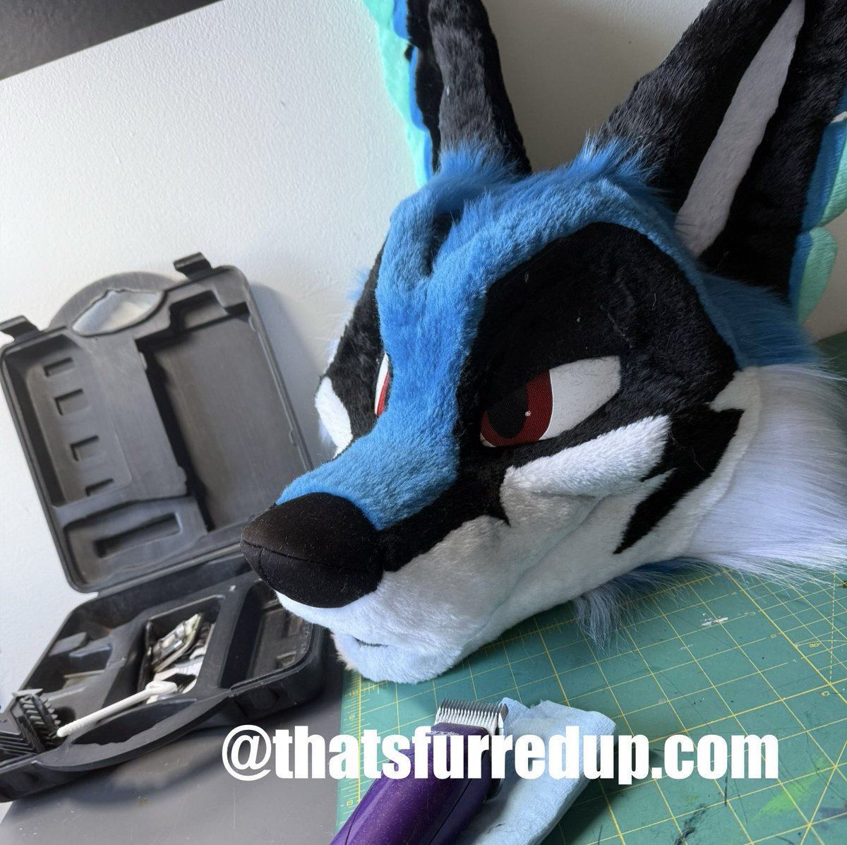 That's Furred Up! tweet media