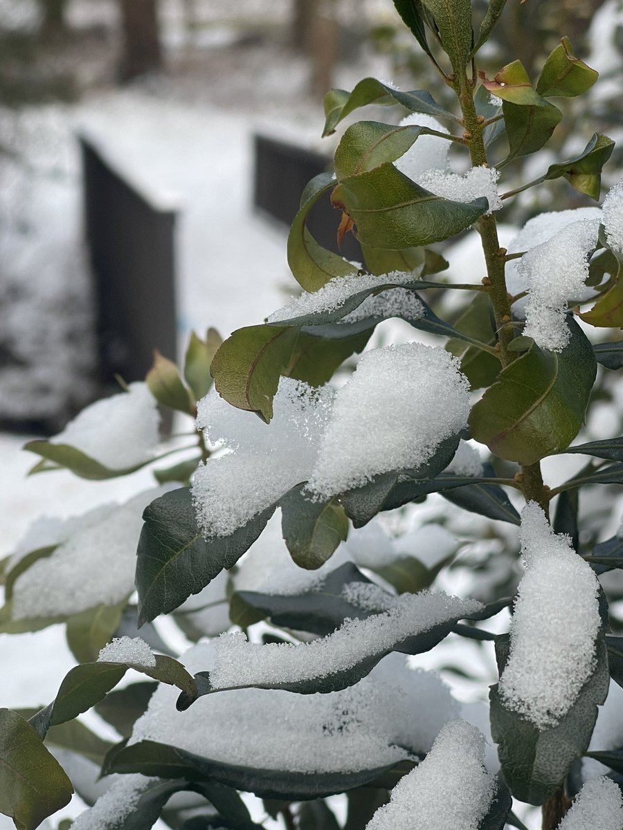 Name them one by one.