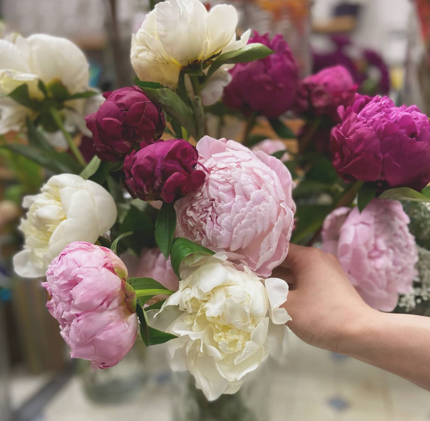 flowersjoyy's tweet photo. Peonies are back and they seem to be back early!! 😍😍We are happy to announce our peonies floral selections are back! Come and visit our website for our artisan and carefully handcrafted peonies floral arrangements!💕😍
#myjoyflowershop #artisanflorist #localflorist #familyowned https://t.co/Dtjc2agaEJ