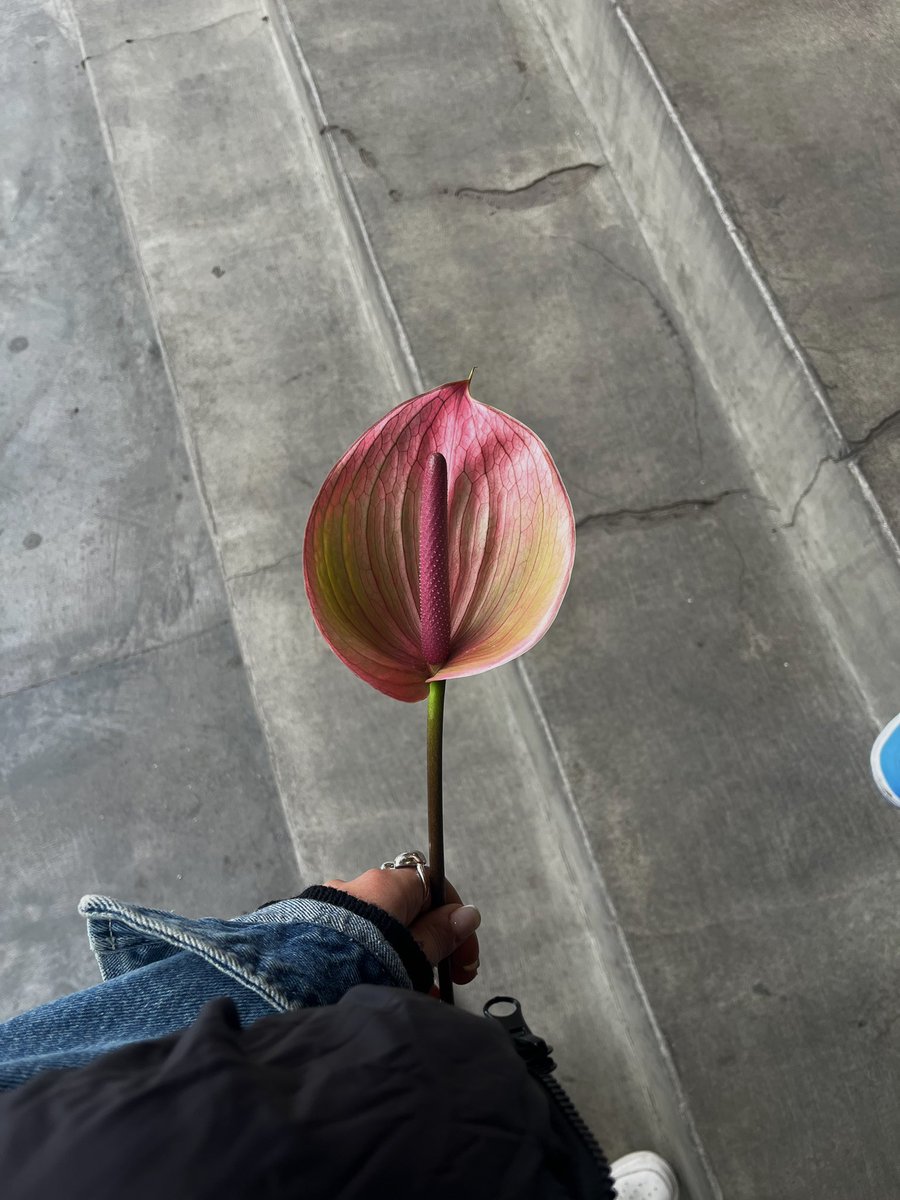 tatadivaj's tweet image. خلاصه که انرژی زنانه‌ام در بالاترین حد خودشه :)))🤲🏻🫶🏻