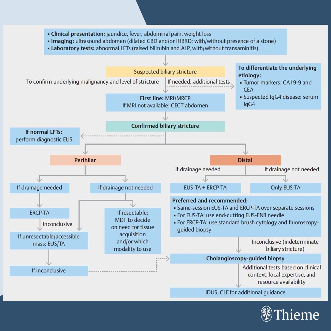 Editor's Choice: Diagnostic work-up of    bile duct strictures: ESGE Guideline

Find the article at: doi.org/10.1055/a-2481…

Antonio Facciorusso et al.
