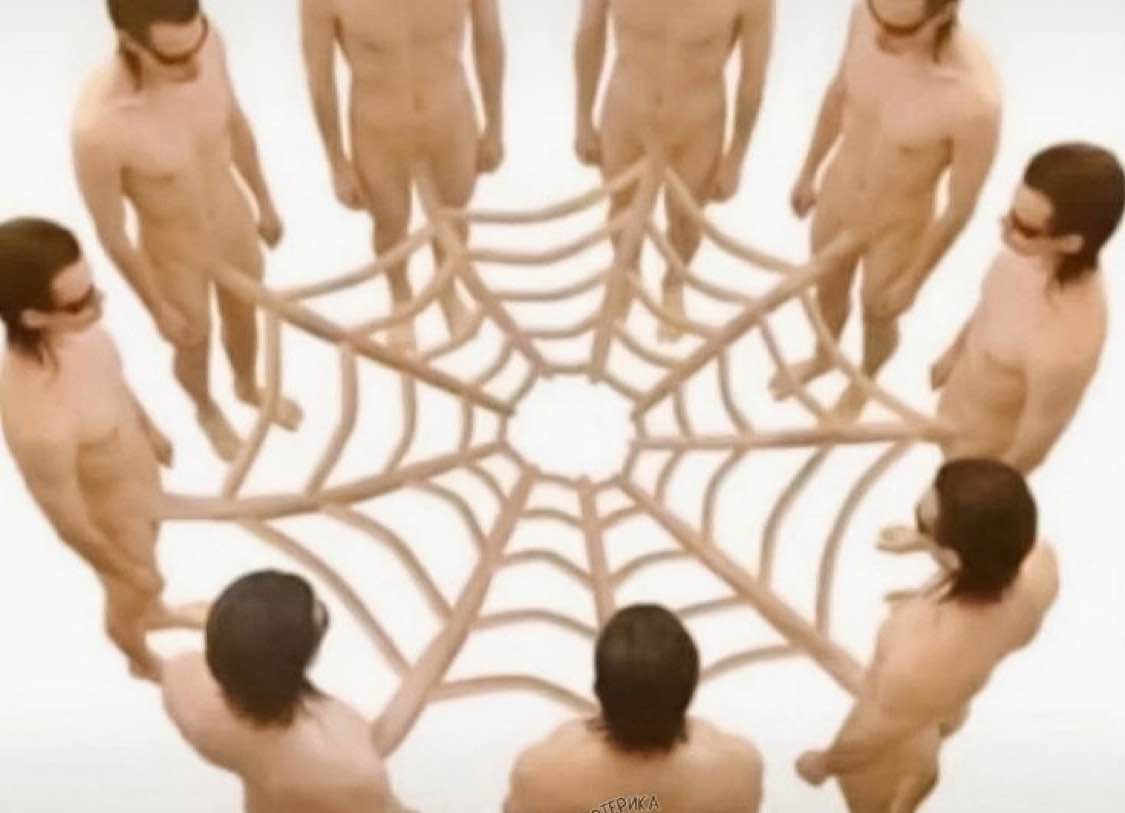 Blaziken tweet media