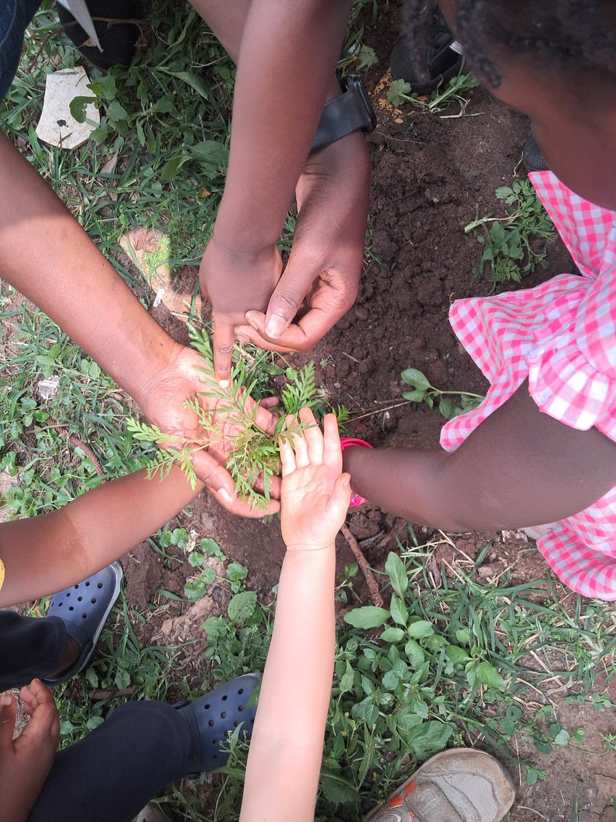 Olara Moses Jimmy (@mosesjimm1) on Twitter photo I was honored to be part of the <a href="/tree_adoptionug/">Tree Adoption Uganda</a> team that today conducted environmental education and training on waste management at Kampala Community International Pre-school🏫 It was fulfilling to see the love that the learners had for their environment.🌍🌳 I was honored to be part of the <a href="/tree_adoptionug/">Tree Adoption Uganda</a> team that today conducted environmental education and training on waste management at Kampala Community International Pre-school🏫 It was fulfilling to see the love that the learners had for their environment.🌍🌳