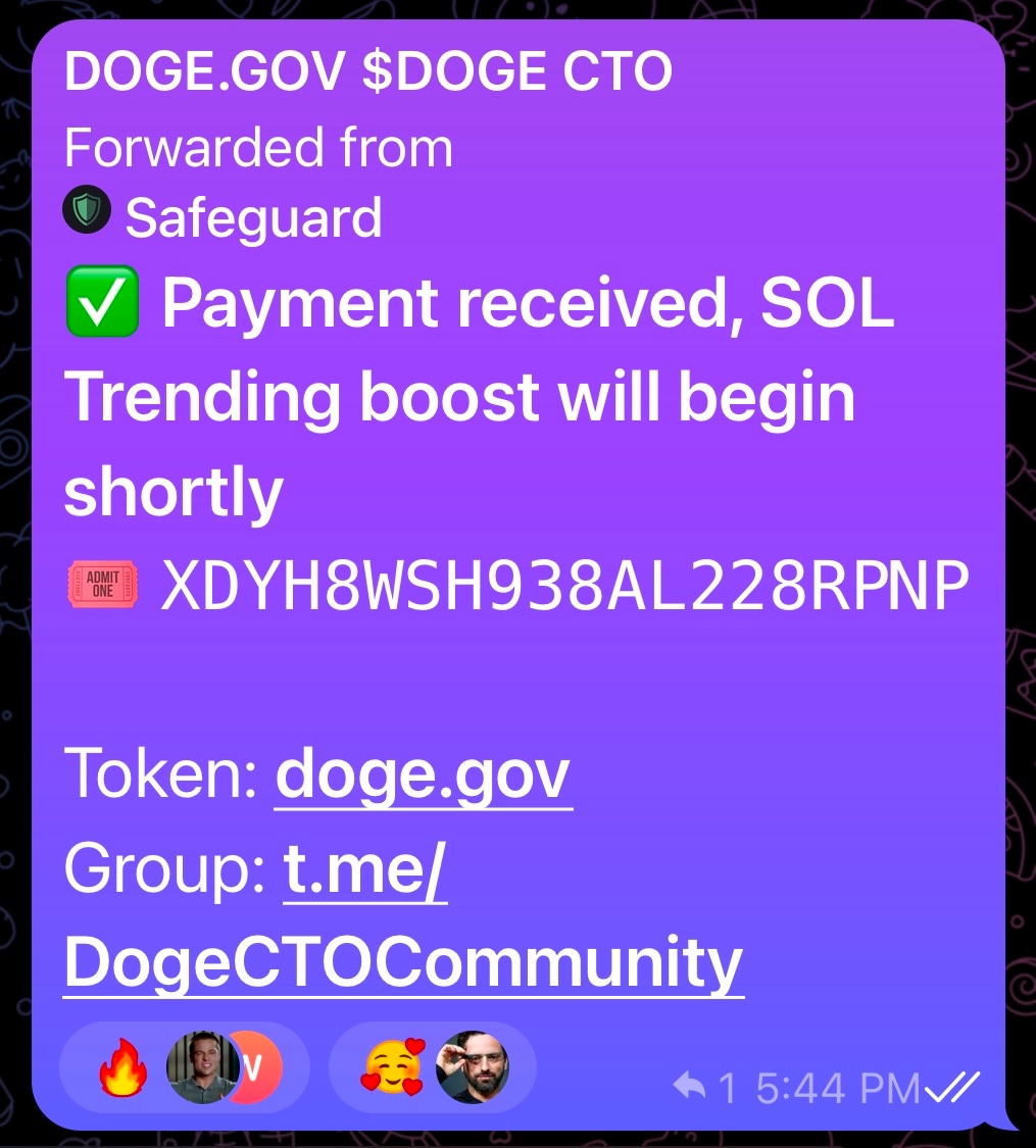 DOGE Sol Fans tweet media