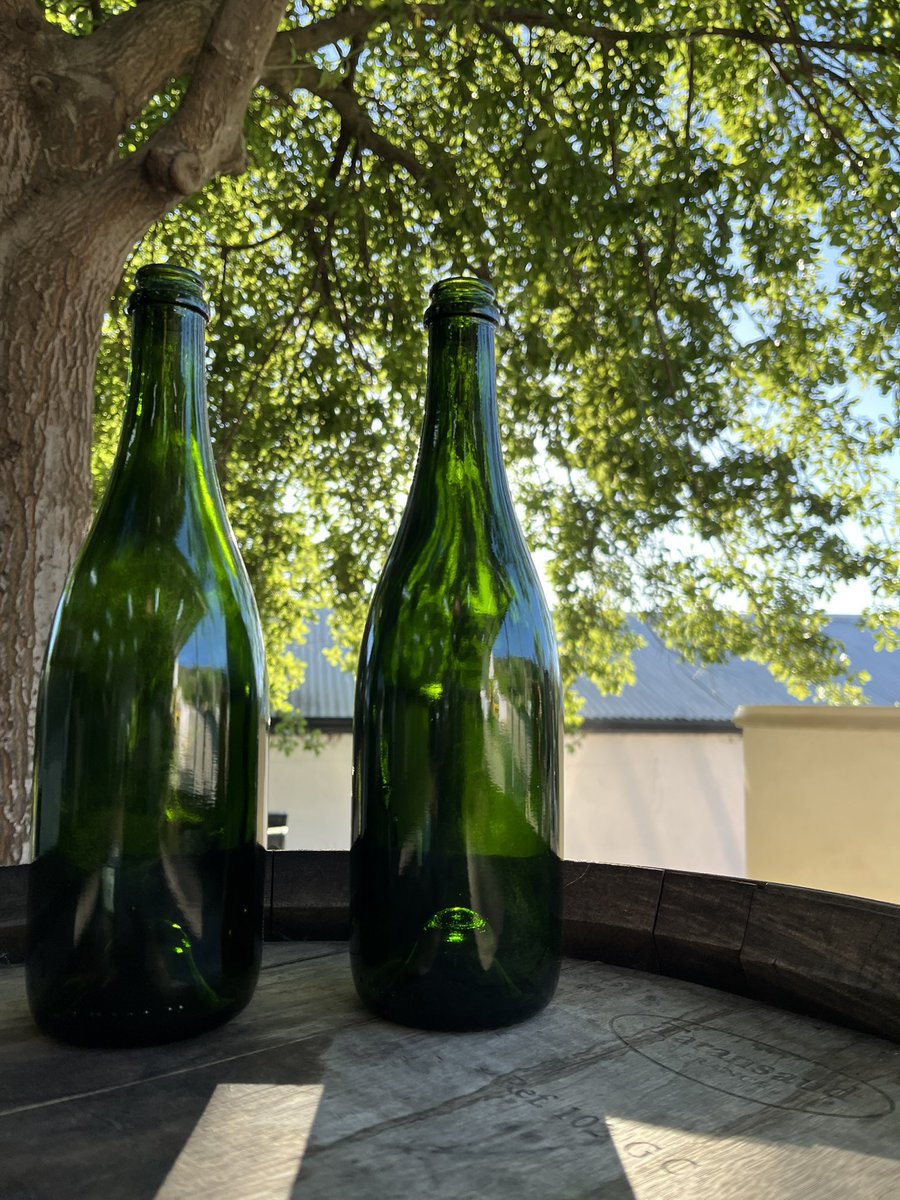 cage_wine's tweet photo. Cage Wine 2025ハーベスト スタート‼️

品種、ピノタージュ
糖度、22.8 B
ブドウ畑、モレラハ

https://t.co/IyV4rj02Rw

#アンナチュラル
#ワイン
#ナチュラルワイン
#ナチュールワイン
#ナチュラ
#ナチュール
#南アフリカワイン
#ワイン好き
#ワイン好きな人と繋がりたい
#ワイン好きと繋がりたい https://t.co/jN3KC11uH5