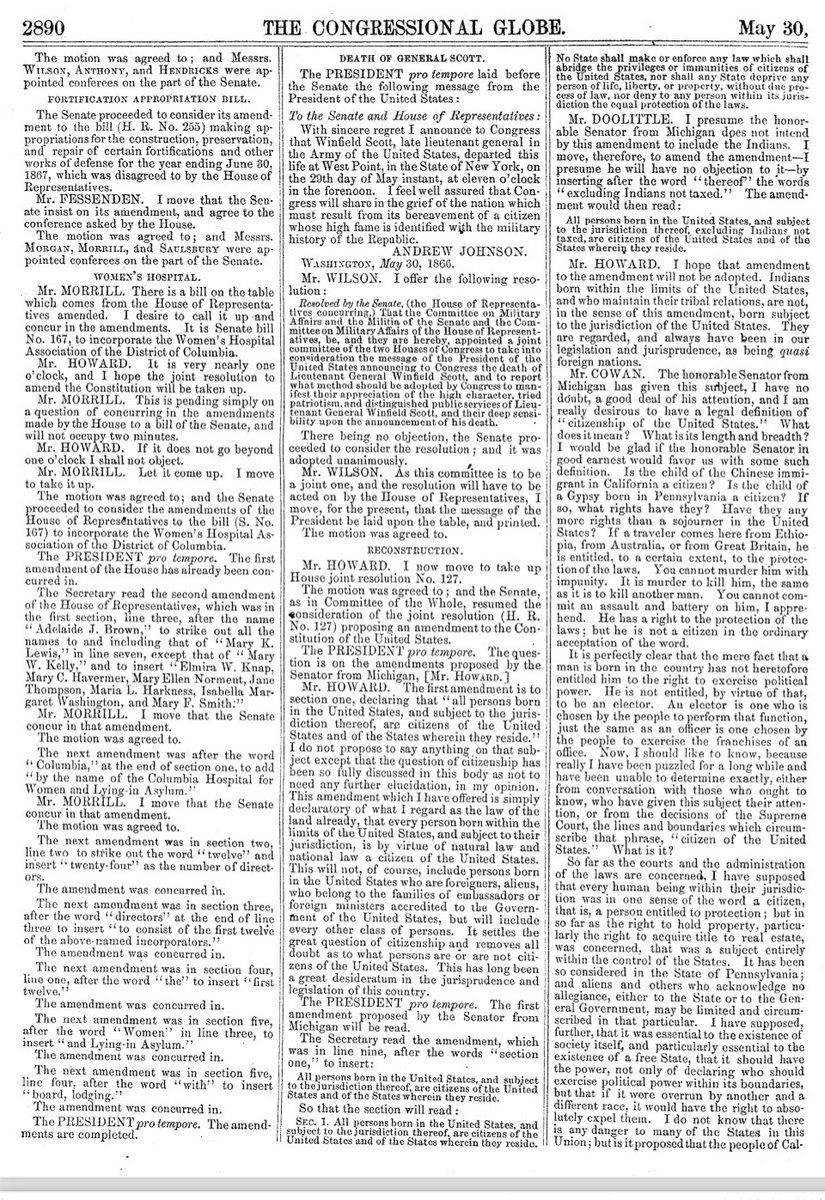 Bad Kitty Unleashed 🦁 💪🏻 tweet media