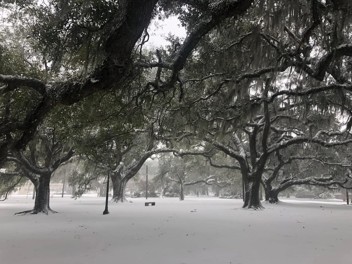 Center Austria - European Studies tweet media