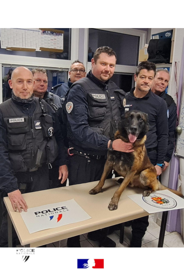 PoliceNat59's tweet image. #AntiStups | Les policiers de #Denain ont mené une opération contre le trafic de stupéfiants. Le chien a marqué devant un logement : les policiers y découvrent 1,3 kg de cannabis, 10 téléphones, 1 balance, 153 vaporisateurs smoking kleaner. 
✅Habitant placé en garde à vue