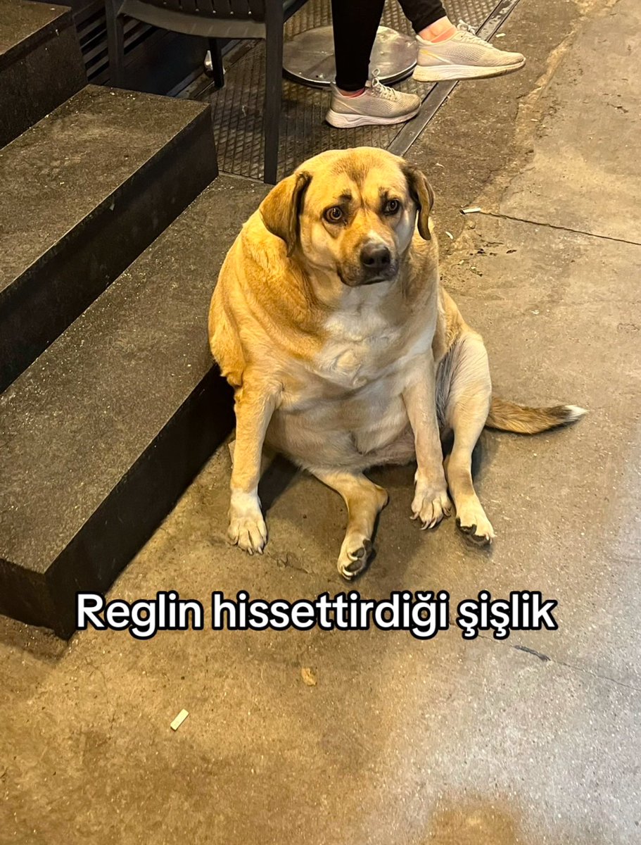 𝗦𝗲𝗻𝗮 (@artikdursena) on Twitter photo 