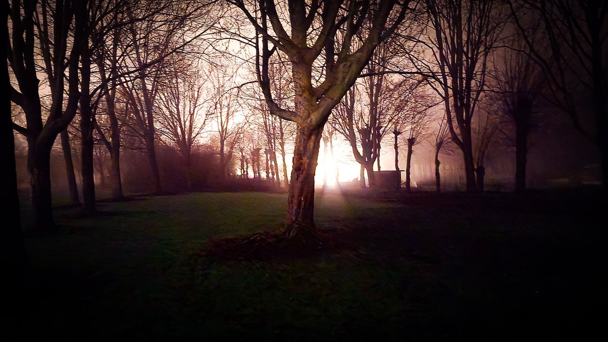 🎃 MiraxyVerse 🎃 tweet media