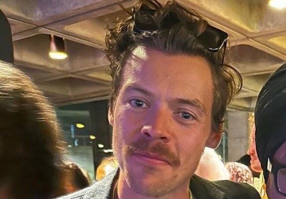 hrrylunaa's tweet photo. mustacherry is so superior https://t.co/sd8qUHQRCS