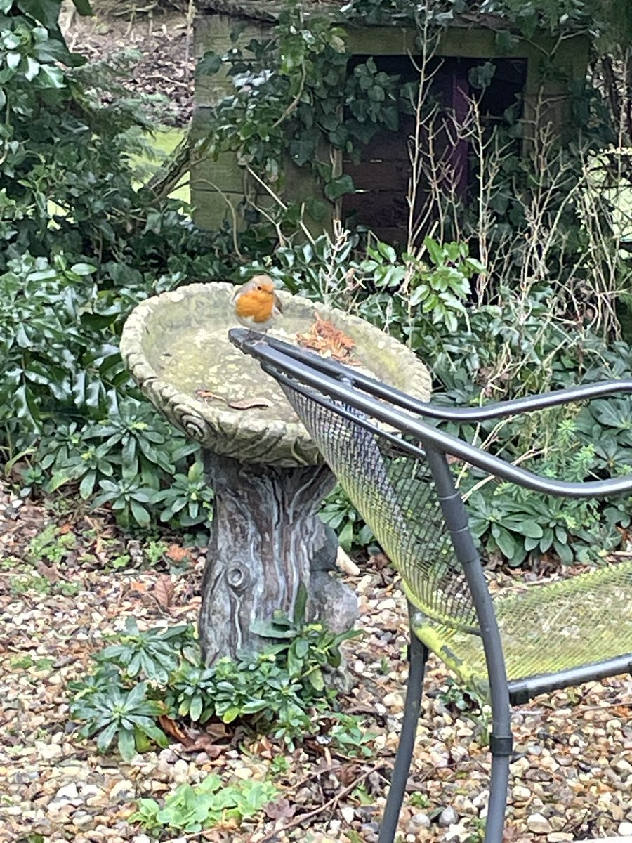 <a href="/RetreatPleshey/">RetreatHousePleshey</a> I snapped these today!