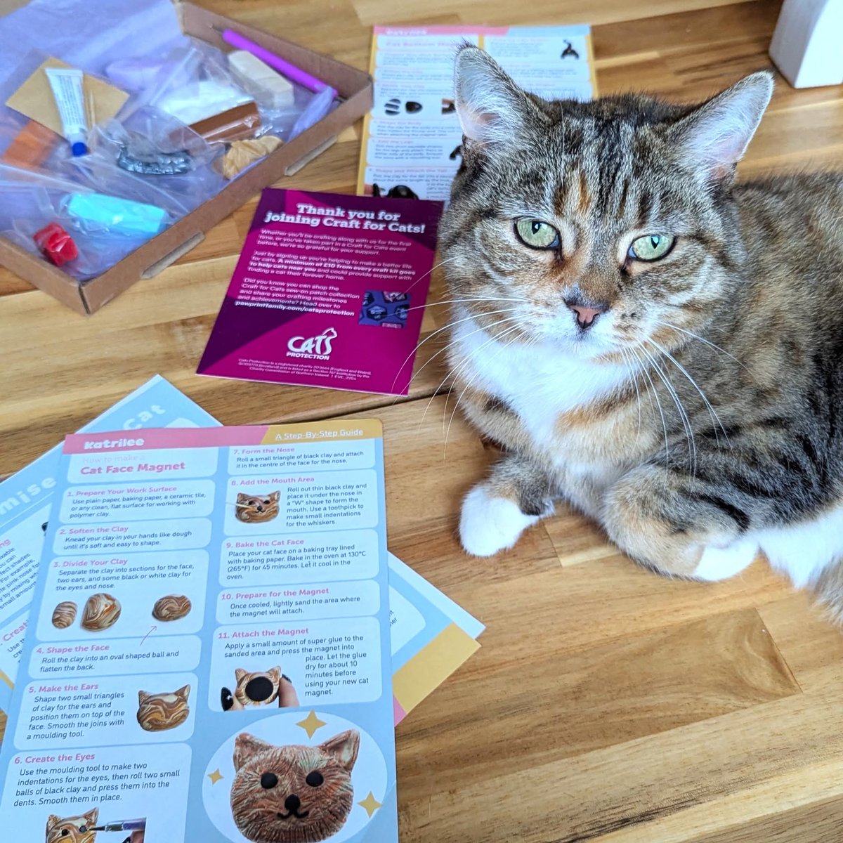 Looking to pick up a new hobby this year? Give polymer clay a go and learn to make five cute cat magnets!
Get your kit here
spr.ly/CFCPolymerClay 😺 

Don't forget to select our branch - Frome and District, to ensure we receive the funds to continue our vital work 😺