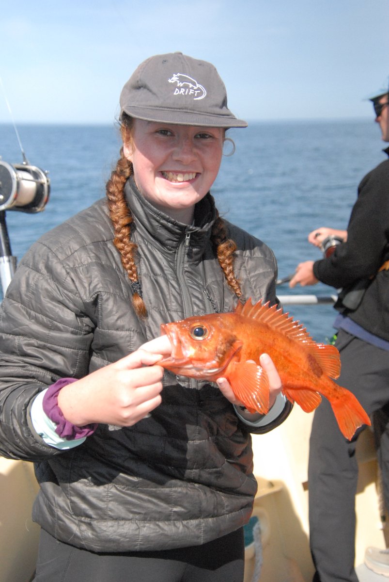 What fish is this?! 🎣