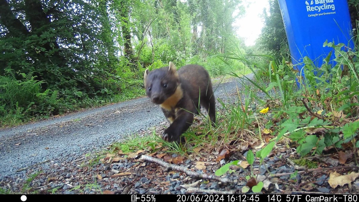 The world has conspired to create an engine of unbelievable complexity. Biodiversity. 

Biodiversity has worked for ages of time to create the things humans rely on for each and every aspect of our lives. 

Soil that can grow food. Climate. Clean air. Clean water. Pollination...