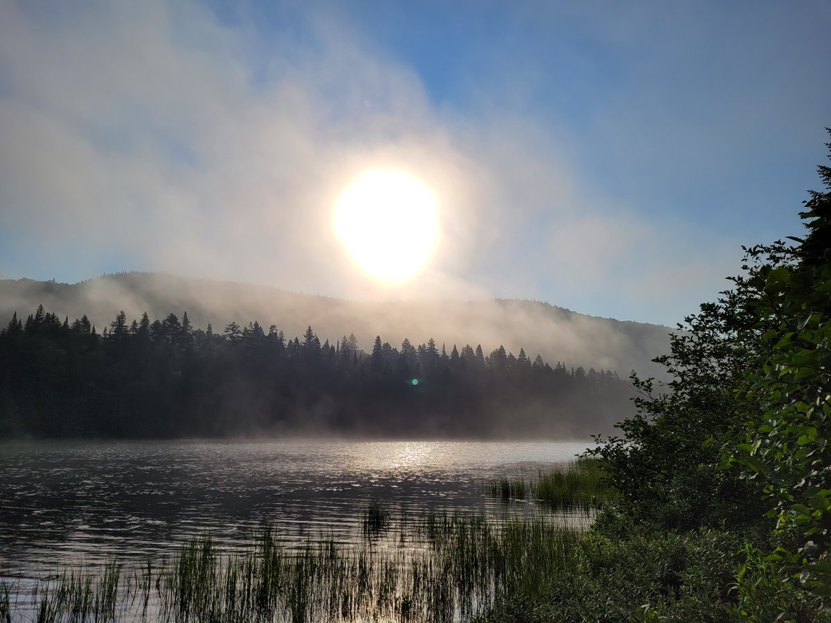 Le poète Walt Whitman pour évoquer les diff facettes de nos identités:"I am large,I contain multitudes."J'ai plusieurs présences sur les réseaux sociaux.Rappel 🦋[at]fbouchard.bsky.social 🐘 [at]fbouchard[at]zirk.us 🧵[at]f.bouchard ,Linkedin et la cafétéria ;)