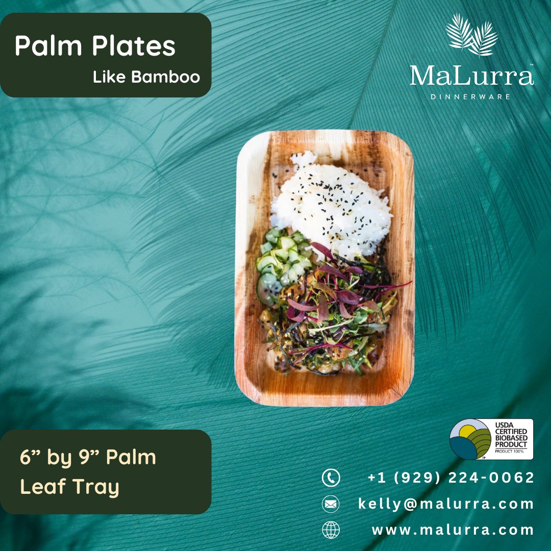 MalurraD's tweet image. Elevate your serving game with our stylish 6" by 9" Palm Leaf Rectangle Tray Like Bamboo, crafted from natural fallen palm leaves! Perfect for any occasion and 100% biodegradable. 🌿✨

#EcoFriendly #NaturalMaterials #ServingEssentials #SustainableDining #PalmLeafPlates