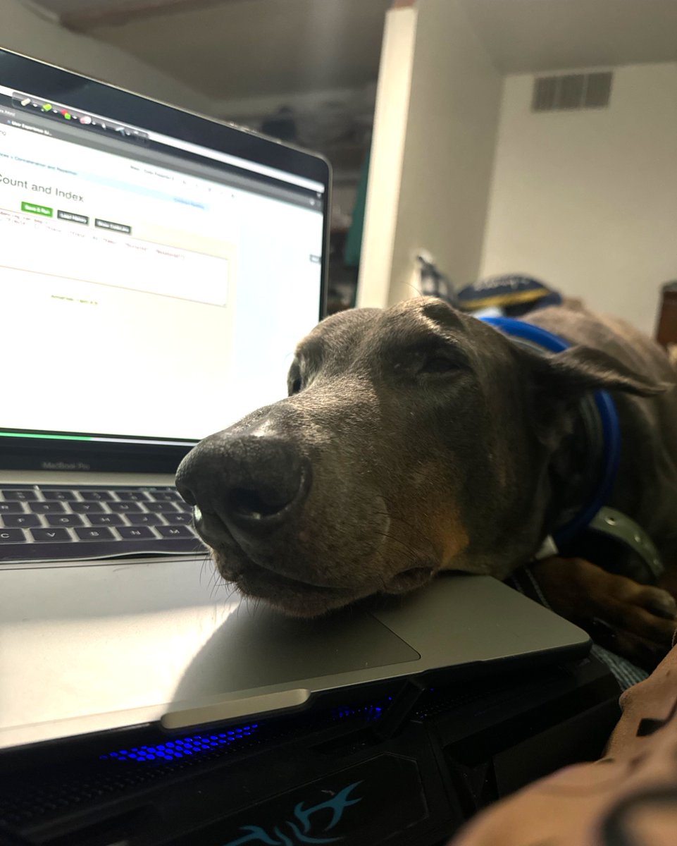 Sabrebluedobie's tweet image. Behind every great website is a great supervisor—meet Sabre, our mascot and inspiration! 🐾
Let Bluedobie Developing create a website as hardworking as your business.

👉 Learn more here: bluedobiedev.com

#WebDesignLife #SmallBusinessGrowth