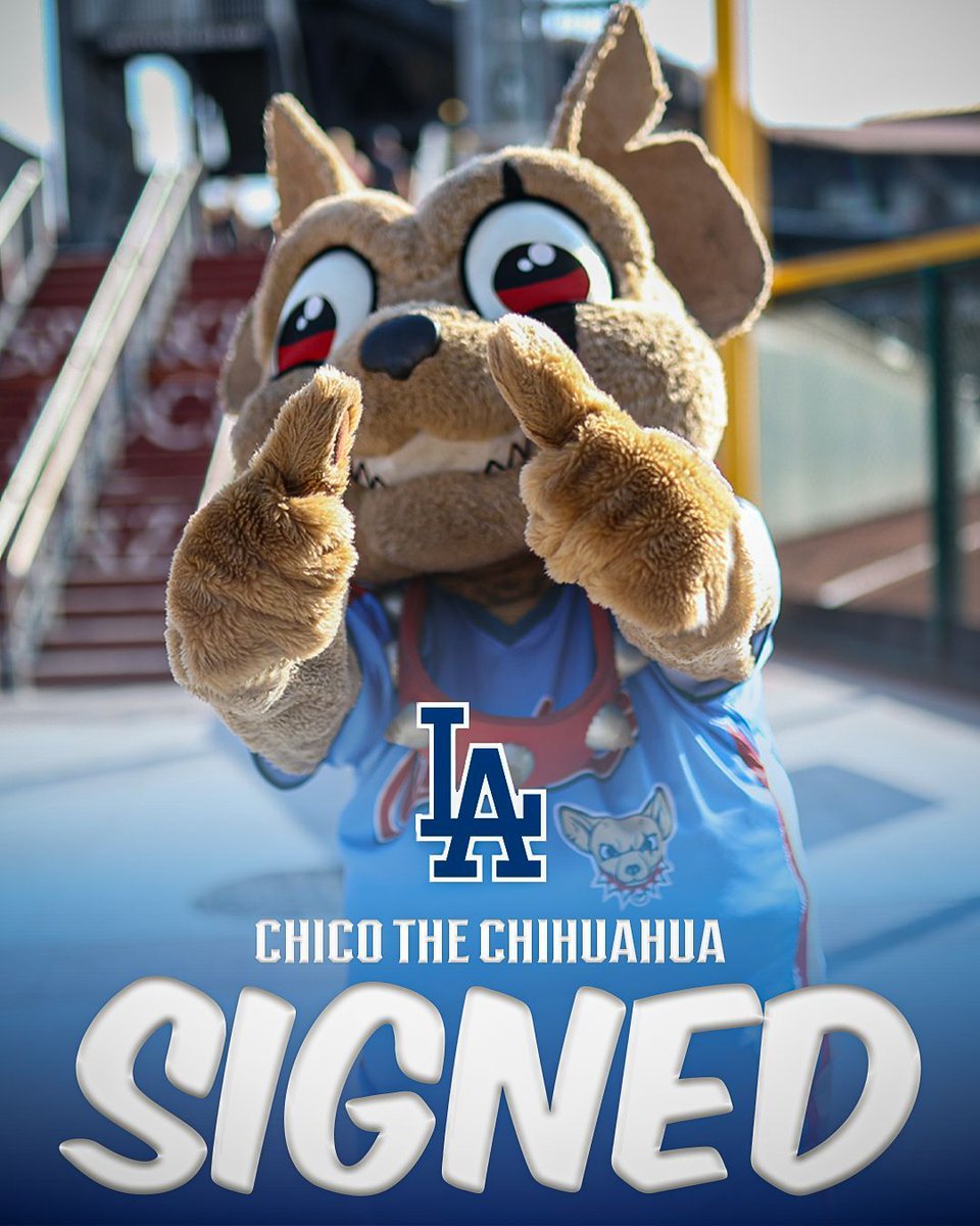 epchihuahuas's tweet photo. PLEASE ANYONE BUT OUR DOG, THEY'RE TAKING EVERYONE FROM US.

I'M BEGGING https://t.co/le6xhHFUU0