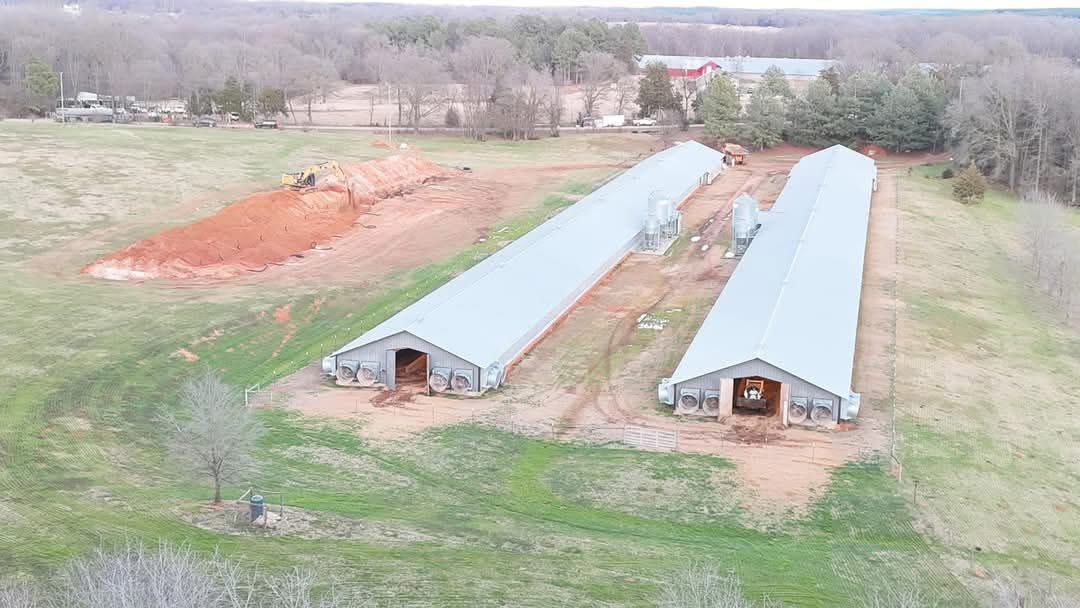 outbreakupdates's tweet photo. When bird flu strikes a commercial operation, millions of infected birds are culled and often buried en masse in on-site pits.

This is what’s happening in Georgia, right now. https://t.co/StRLMPKVfM