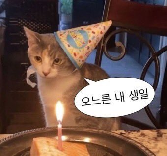 저 오늘 생일이에요..