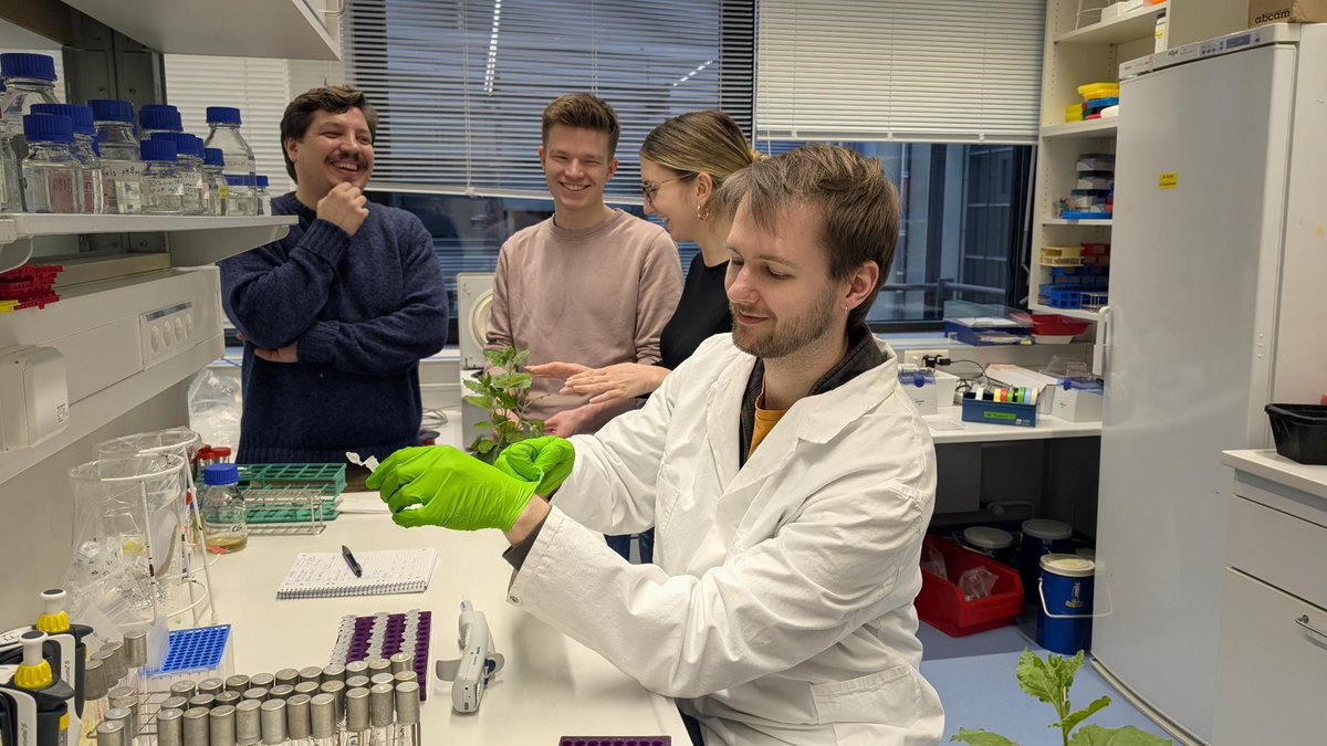 MPIMP Potsdam Golm 🌱🧪 (@mpimp_potsdam) on Twitter photo 👋Say hi to our research group Receptor Structures at the Plant-Microbe Interface! Led by <a href="/Alxndr_F/">Alexander Förderer</a> , this group delves into plant immune responses at the molecular level. Understanding plant immune systems is key to enhancing plant health and crop security 🌱 👋Say hi to our research group Receptor Structures at the Plant-Microbe Interface! Led by <a href="/Alxndr_F/">Alexander Förderer</a> , this group delves into plant immune responses at the molecular level. Understanding plant immune systems is key to enhancing plant health and crop security 🌱