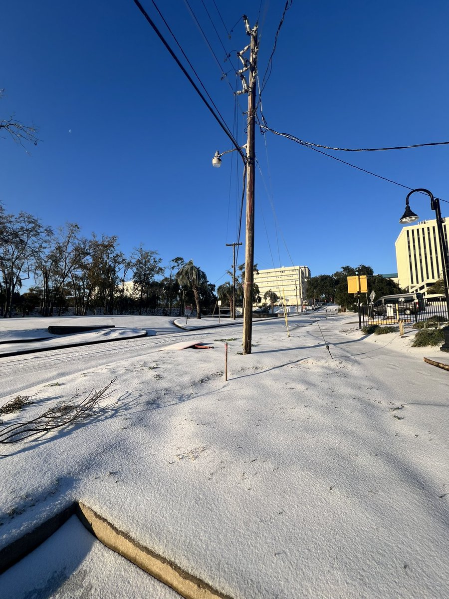 Some Tally snow☃️☃️