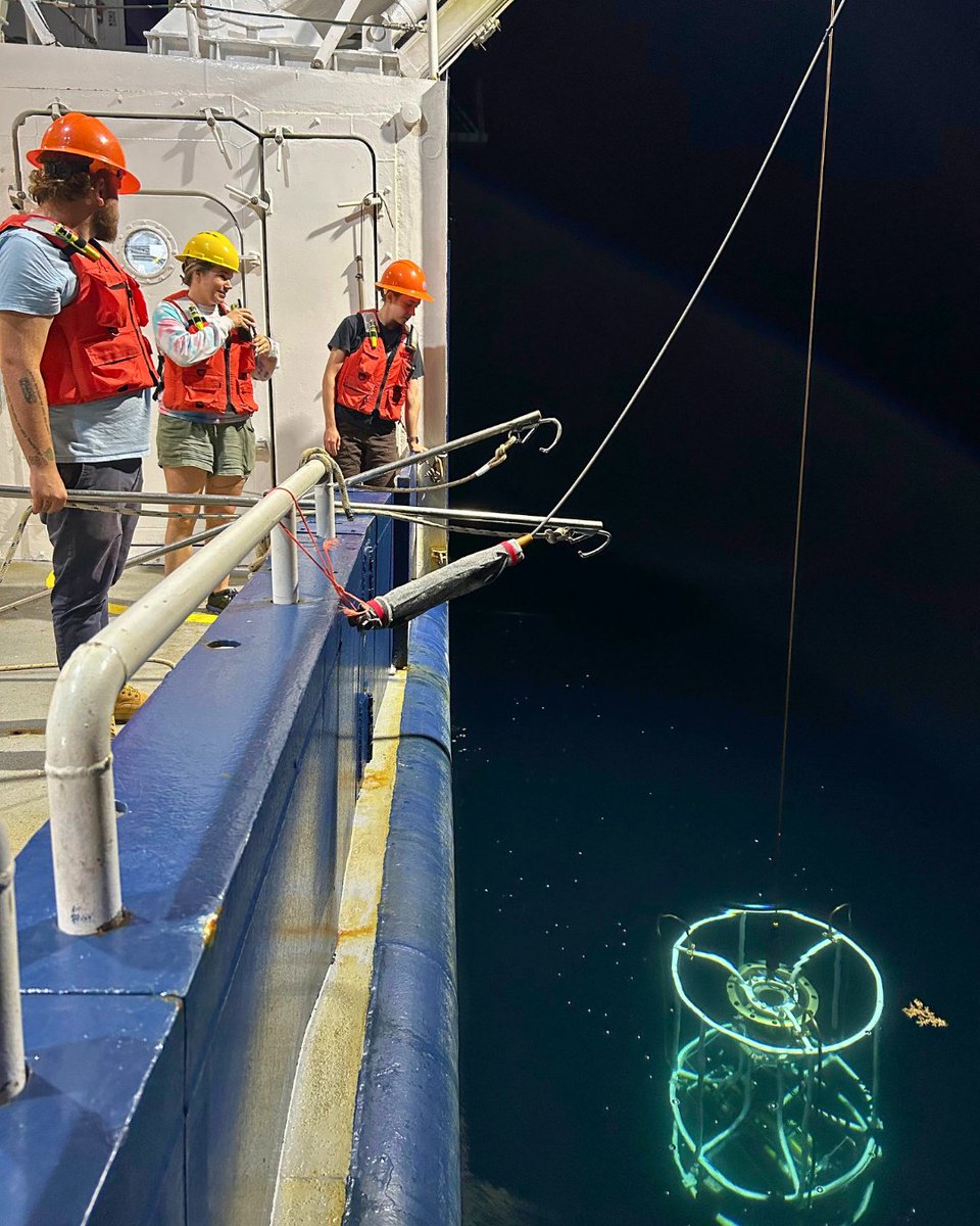 URIGSO's tweet image. It’s our favorite day of the year—Happy #CTDAppreciationDay! 🎉  CTDs are essential to marine research, providing invaluable data about water properties, ocean circulation, and so much more.