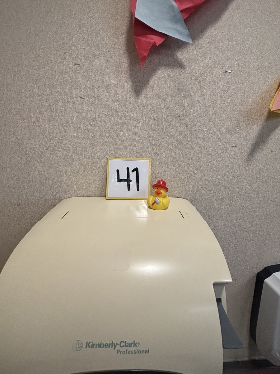 We are on the hunt to find 100 rubber ducks ⁦<a href="/BSEhseIN/">BSE-HSE</a>⁩