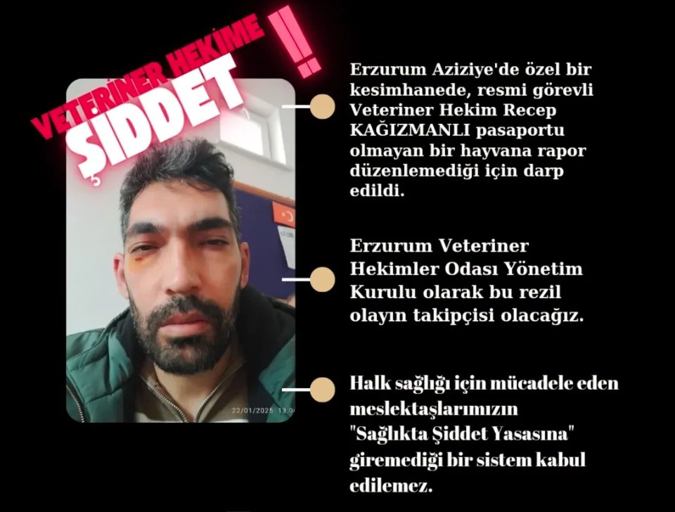 Polat Türkoğlu tweet media