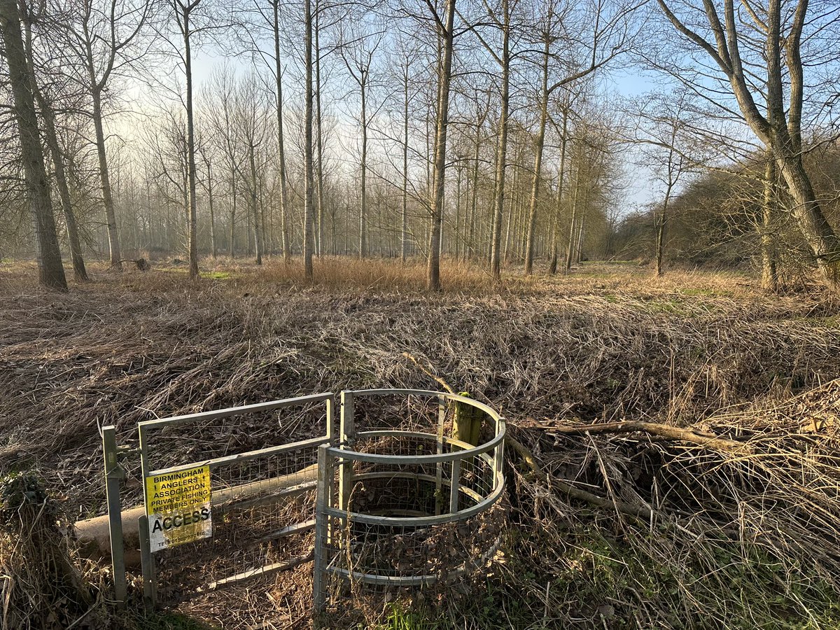 MarkBWorcester's tweet photo. One of my favourite #Worcestershire walks is a loop along the river Teme to Bransford and back. It takes about 1:45 from the Powick bridge and offers some nice views of the Malvern Hills for anyone interested. https://t.co/ZkXHyn8uGd