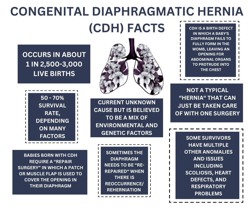 CDH Stars and Angels tweet media