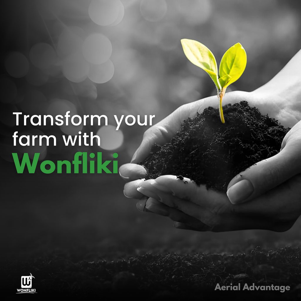 Wonfliki tweet media