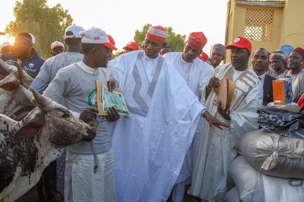 KanoPastoral's tweet image. Kano state governor, Abba Kabir Yusuf flagged-off the state government’s 2nd phase Bull/ram fattening & Goat reproduction empowerment schemes, thru KSADP, funded by #IsDB & #LLF, targeting 5,500 beneficiaries, to reduce poverty & improve nutrition.