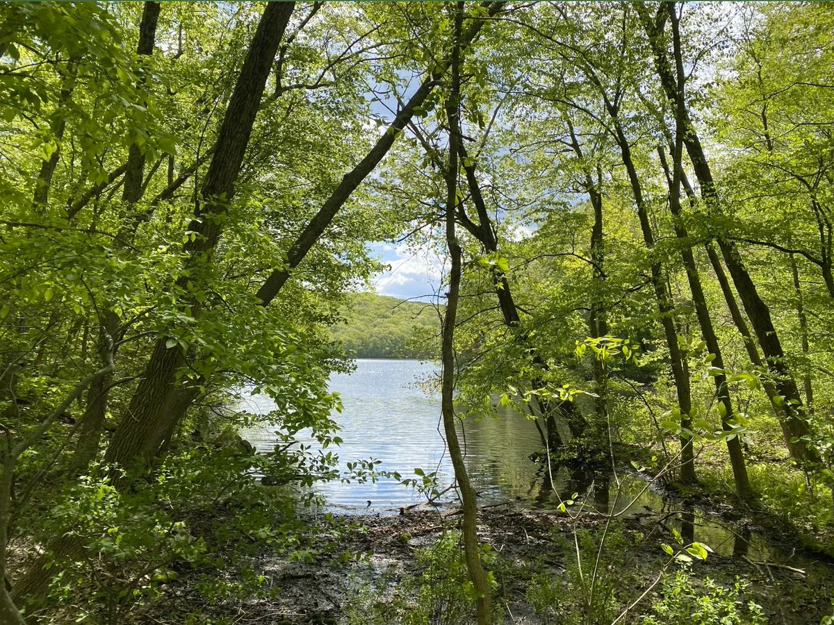 Hudson Highlands LT tweet media