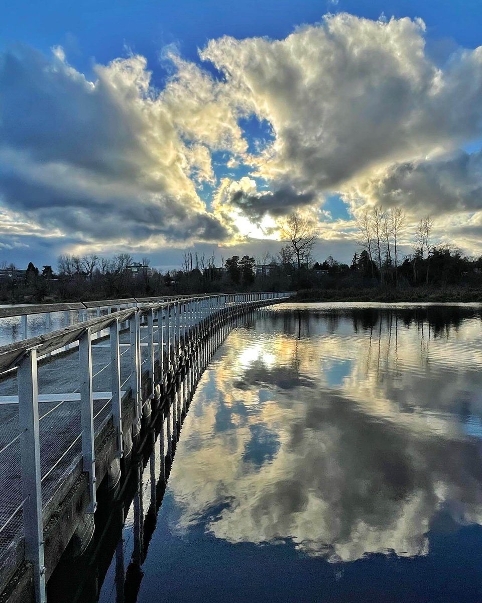 Destination Greater Victoria tweet media