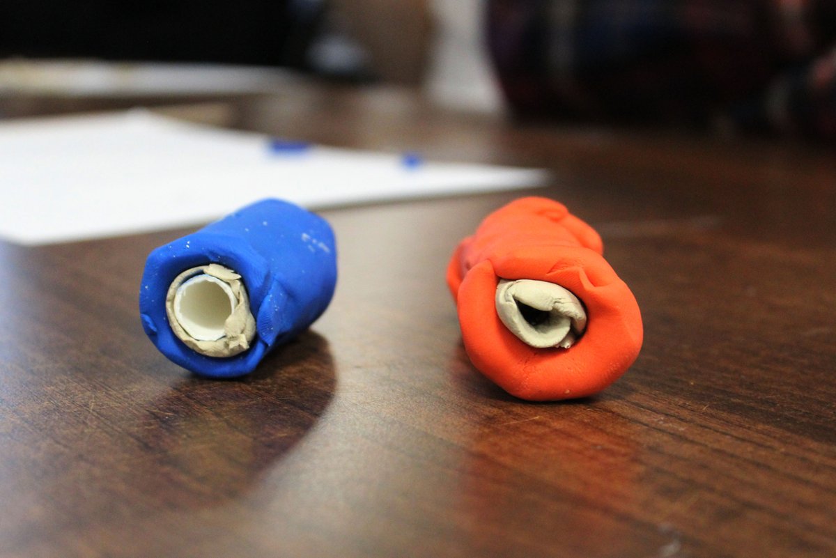 Year 12 BTec Sport Studies students spent this afternoon learning about blood vessels and making their own models out of clay!