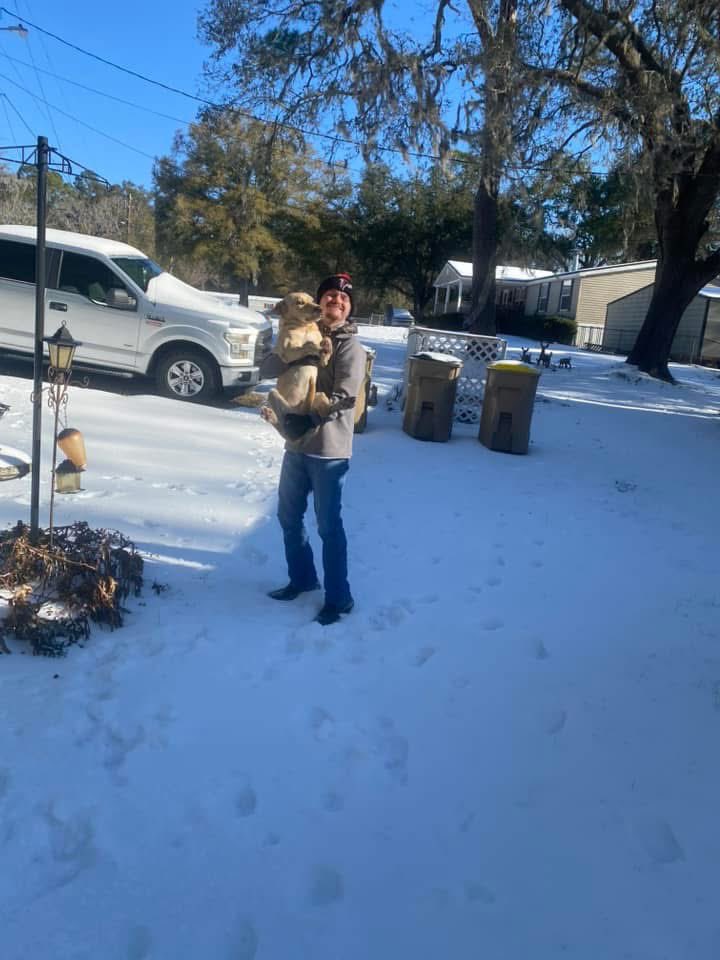 Theodore Hamby tweet media