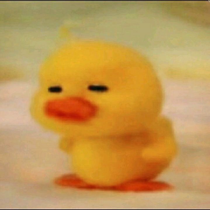 rang418's tweet image. 