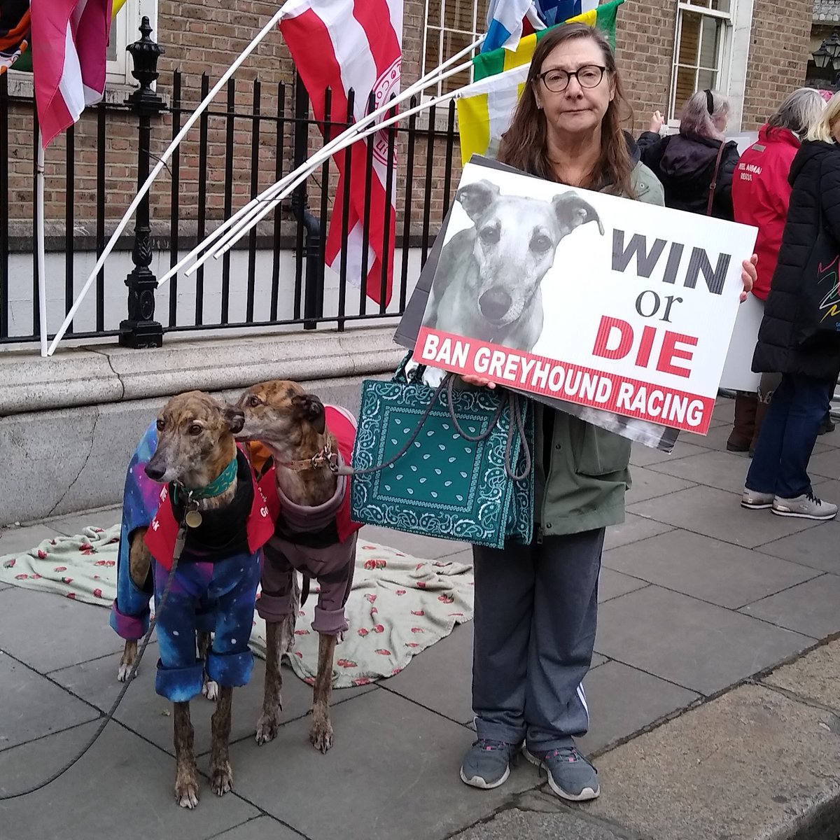 A big THANK YOU to actor/activist <a href="/PaulineMcLynn1/">Pauline McLynn</a> for supporting today's #BanGreyhoundRacing protest outside Dáil Éireann. #Ireland #YouBetTheyDie