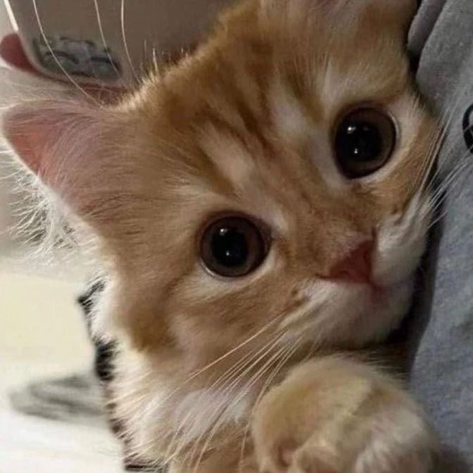 ִ (@njmhae) on Twitter photo 