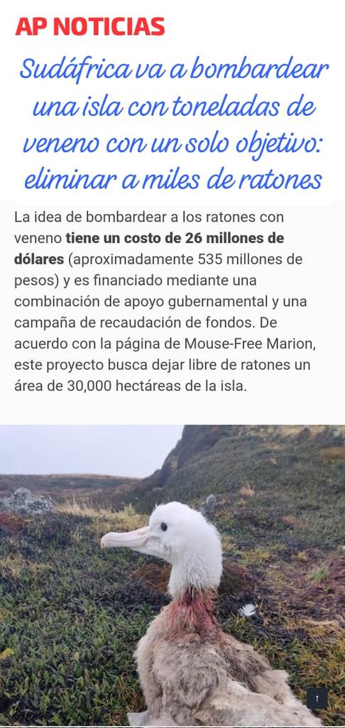UN ESCRITOR INDEPENDIENTE tweet media
