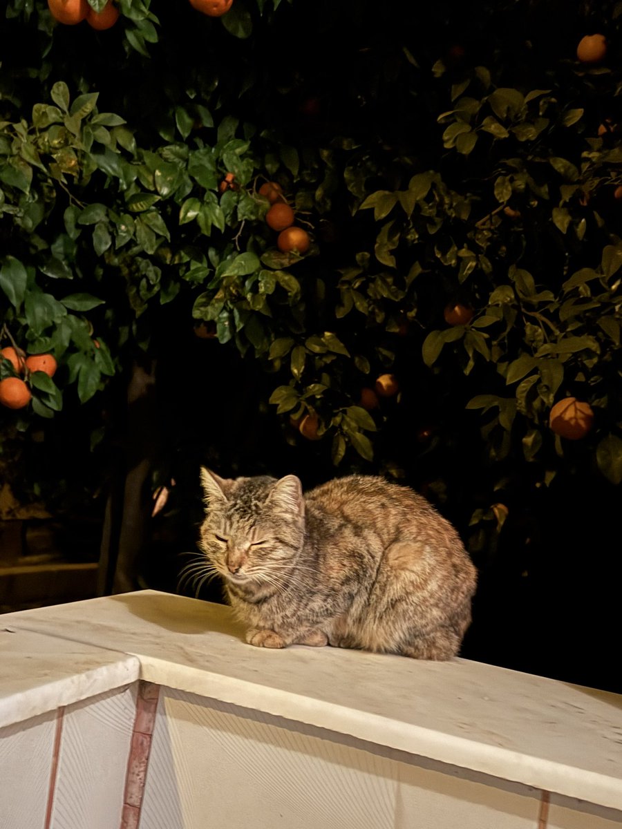 Atama haberini bu şekil bekliyoruz #Tekte50BinSağlıkçı