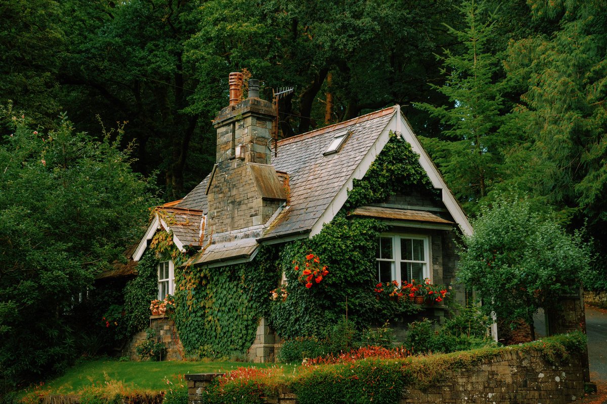DanielCasson1's tweet photo. Cottages in the Lakes // https://t.co/gm5hsVVQPo