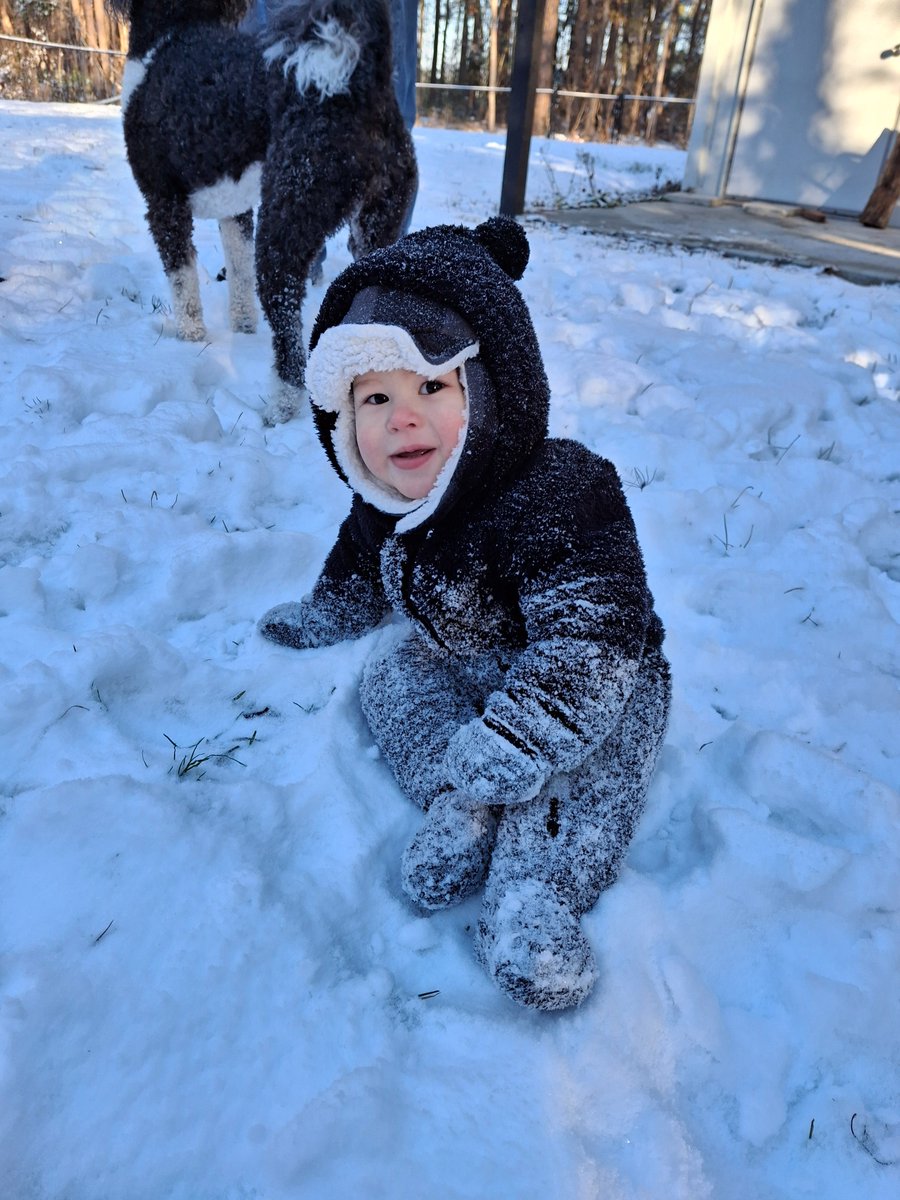 MalRivera3's tweet photo. @ryanhallyall 2025 #Snowmageddon in #Statesboro GA! https://t.co/ZB4E9Tz94F