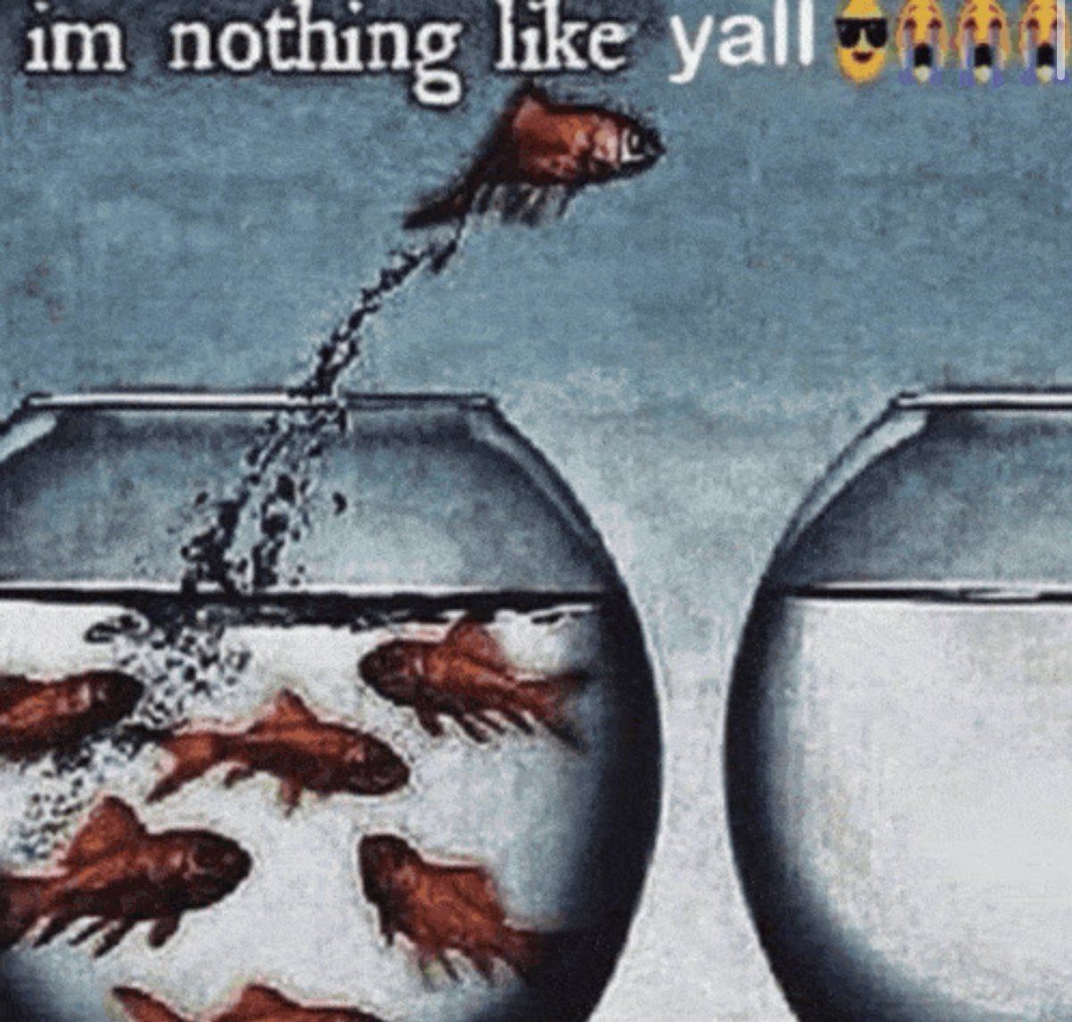 <a href="/IdkTest_06/">IdkTest</a>