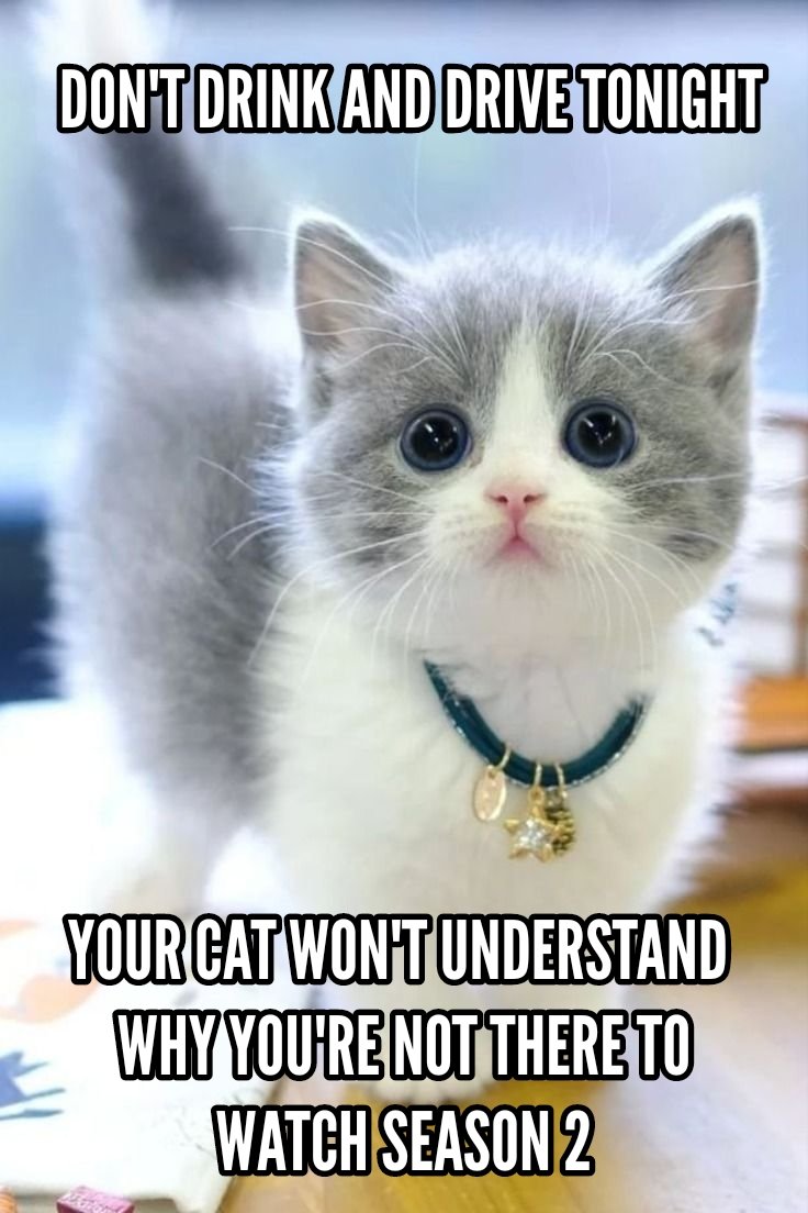 Star Wars Cats (@Star_Wars_Cats) / Posts / X, image size:736x1104