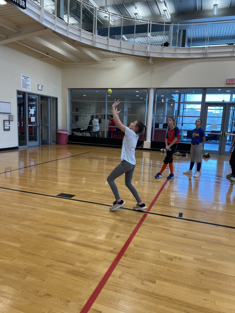 Lake Forest College Softball tweet media