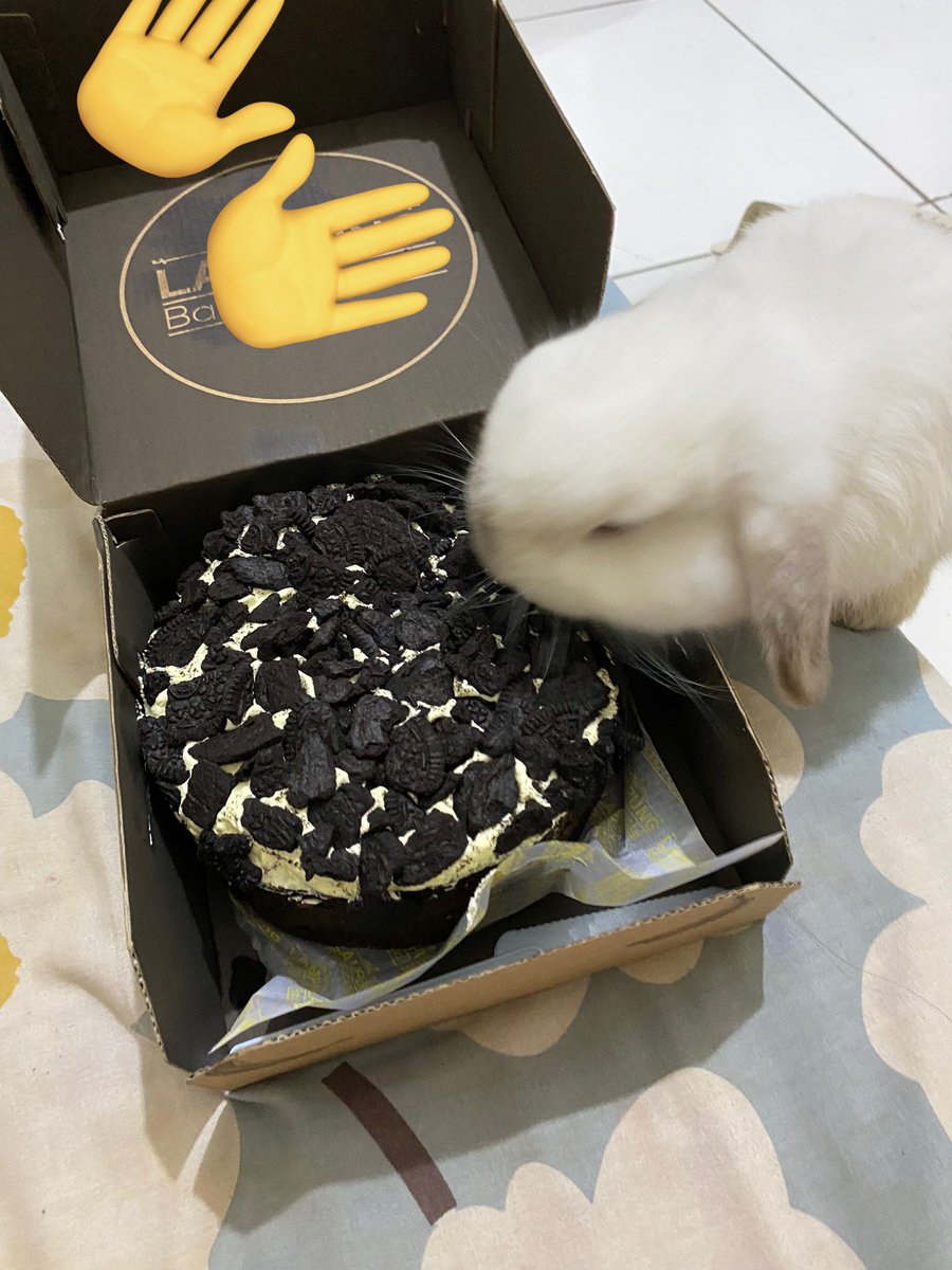 vanyy ˙✧˖°📷 ༘ ⋆。˚ ೀ tweet media